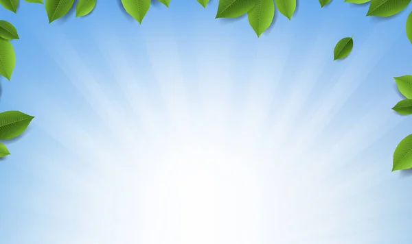 Cadre Feuilles Vertes Avec Bannière Fond Bleu Sunburst Avec Maille — Image vectorielle