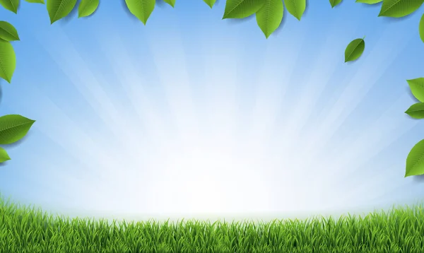 Folhas Quadro Com Fundo Sunburst Grama Verde Com Malha Gradiente — Vetor de Stock