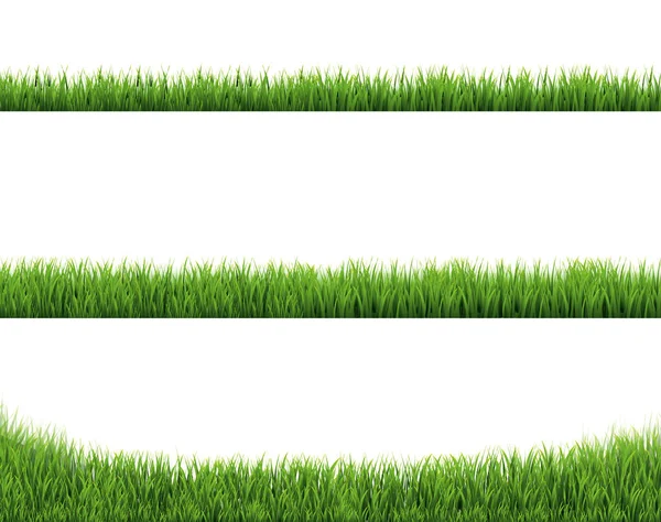 Green Grass Border Collection and White Background — 스톡 벡터