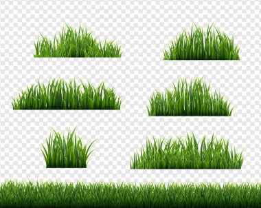 Green Grass Border Big Set Transparent Background clipart