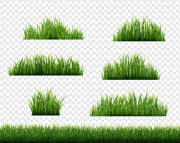 Green Grass Border Big Set Transparenter Hintergrund — Stockvektor