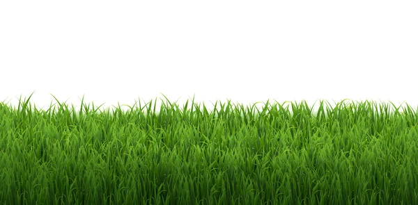 Grass Border Isolated White Background — Stock Vector