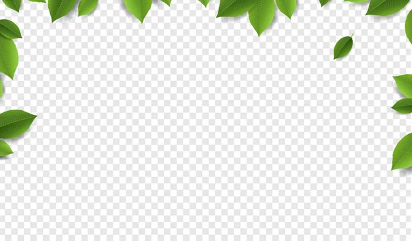 Groene bladeren frame met transparante achtergrond — Stockvector