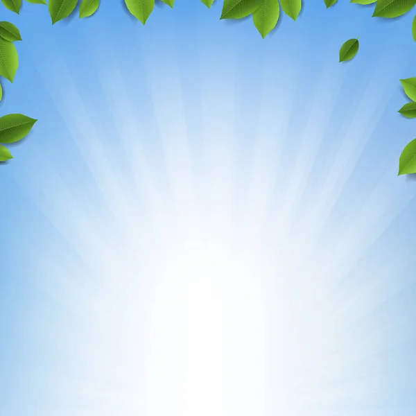 Marco de hojas verdes con fondo azul Sunburst — Vector de stock