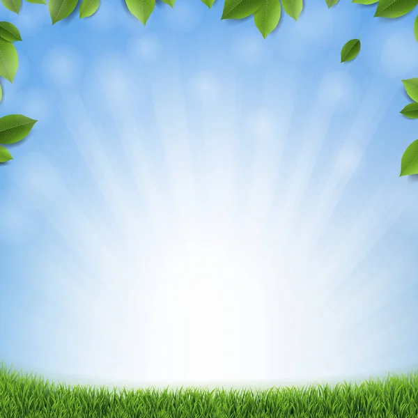 Gröna blad med blå bakgrund och grönt gräs — Stock vektor