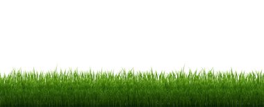 Yeşil Çimen Sınırı İzole Beyaz Arkaplan