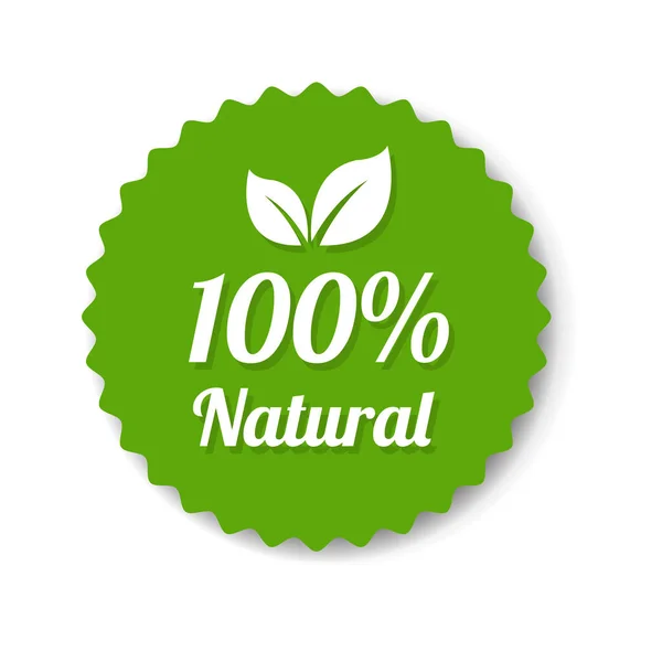 Natural Green Label With Leaves — Stock Vector