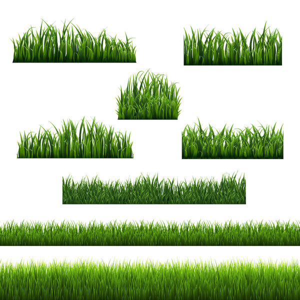 Green Grass Frames White Background