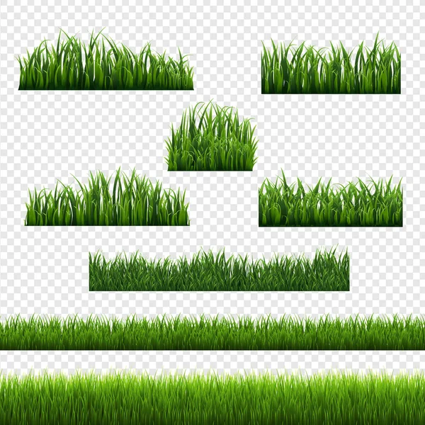 Green Grass Frames Transparenter Hintergrund — Stockvektor