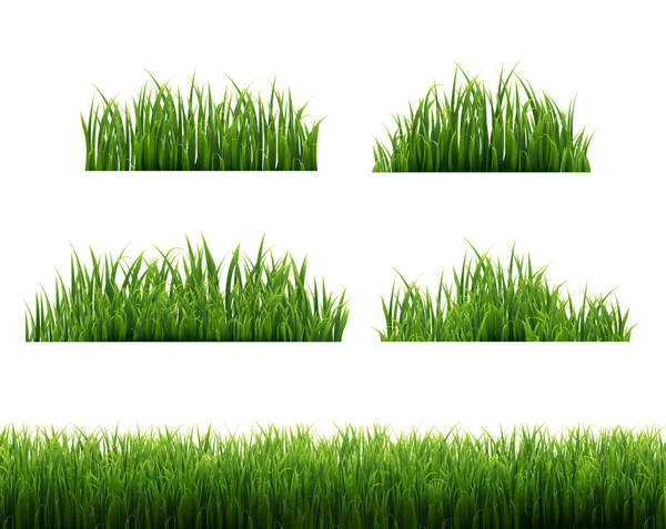 녹색 잔디가 하얀 배경을 틀잡다 — 스톡 벡터