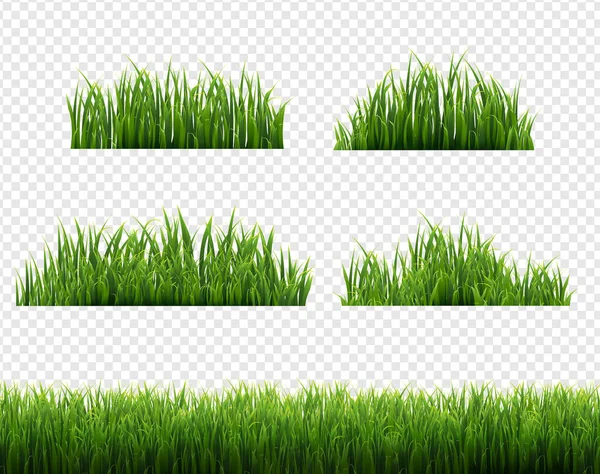 Groene Gras Frames Transparante achtergrond — Stockvector