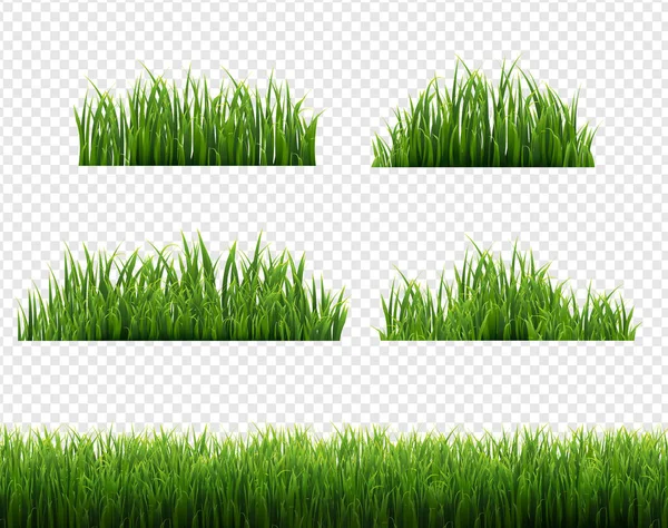 Cornici in erba verde Sfondo trasparente Vettoriale Stock