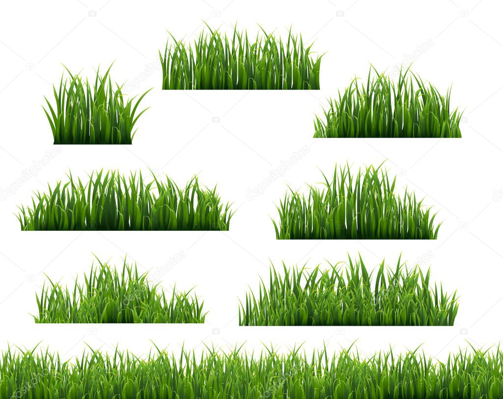 Green Grass Frame White Background