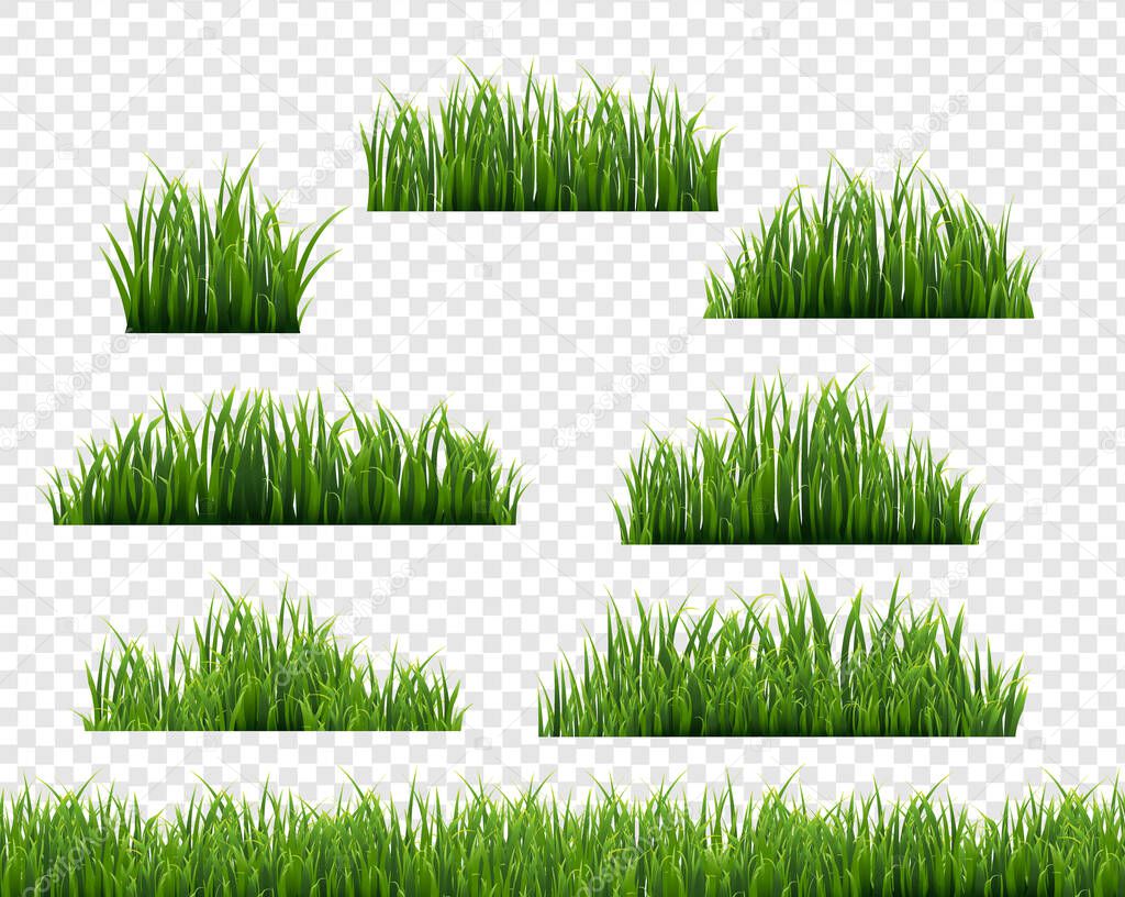 Green Grass Frame Transparent Background