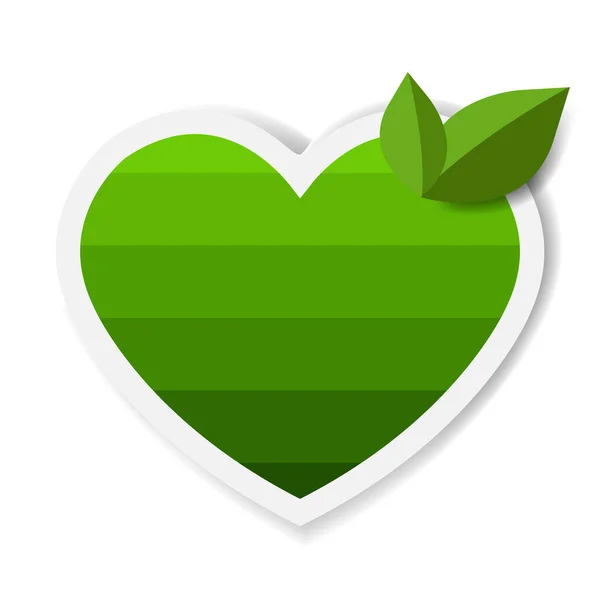 Etiquetas verdes do produto natural com fundo branco das folhas — Vetor de Stock