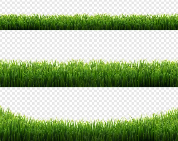 緑の草のフレームセット透明背景 — ストックベクタ