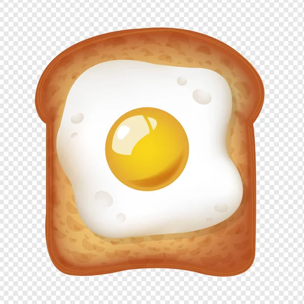 Fried Egg With Toast Isolated — Stock Vector