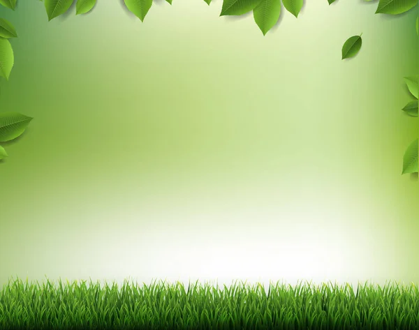 Natura Sfocatura sfondo Natura sfondo con foglie e erba — Vettoriale Stock