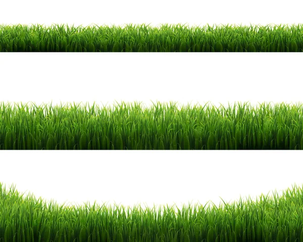 Зелена Трава рамки Встановити білий фон — стоковий вектор