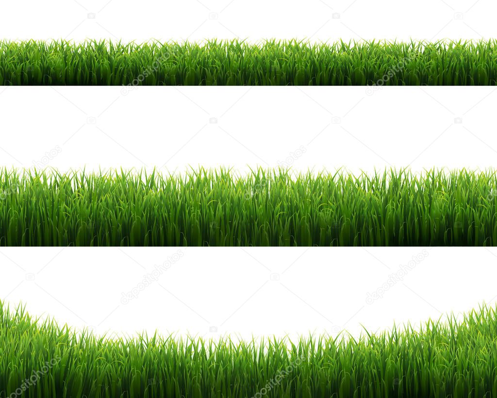Green Grass Frames Set White Background