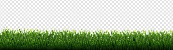 Grön gräs gränsen genomskinlig bakgrund — Stock vektor