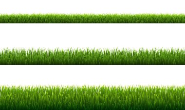 Yeşil Çimen Kenarlıklarını Beyaz Arkaplan Ayarla