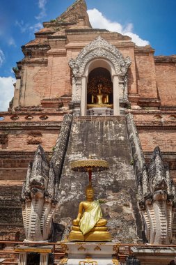 Wat Chedi Luang Tayland Chiangmai eyaletinde 