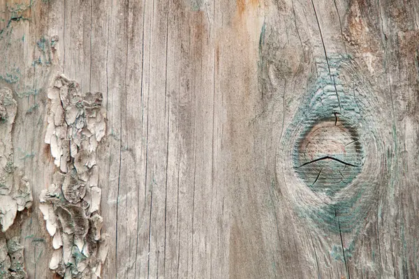 Wooden Texture Natural Wood Background Old Wooden Fence Design Weathered — Stock Photo, Image