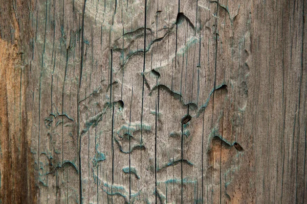 Texture Bois Bois Naturel Fond Une Vieille Clôture Bois Pour — Photo