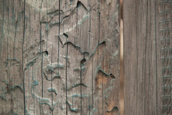 Textura Madera Madera Natural Fondo Una Antigua Cerca Madera Para — Foto de Stock