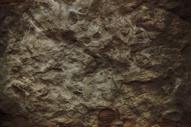 Sonbahar trendi yanmış odun. Yanmış ahşap rengi. Sonbahar tarzı. Beton doku. Duvar dokusu. Yanmış ahşap duvar dokusu