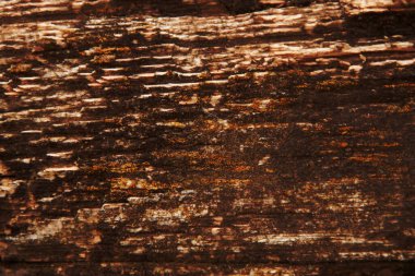 Sonbahar trendi yanmış odun. Yanmış ahşap rengi. Sonbahar tarzı. Yanmış Ahşap. Ahşap dokular. Koyu tonlu ahşap doku