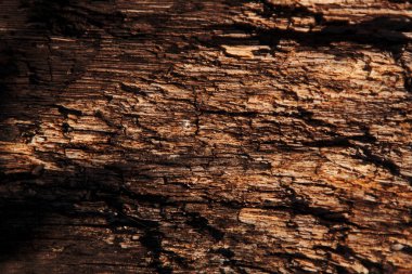 Sonbahar trendi yanmış odun. Yanmış ahşap rengi. Sonbahar tarzı. Yanmış Ahşap. Ahşap dokular. Koyu tonlu ahşap doku