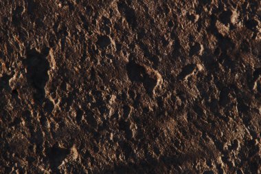 Sonbahar trendi yanmış odun. Yanmış ahşap rengi. Sonbahar tarzı. Beton doku. Duvar dokusu. Yanmış ahşap duvar dokusu