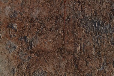 Sonbahar trendi yanmış odun. Yanmış ahşap rengi. Sonbahar tarzı. Beton doku. Duvar dokusu. Yanmış ahşap duvar dokusu