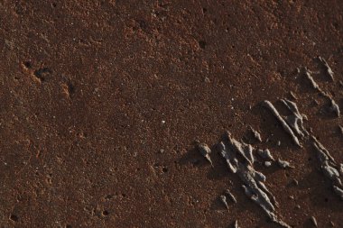 Sonbahar trendi yanmış odun. Yanmış ahşap rengi. Sonbahar tarzı. Beton doku. Duvar dokusu. Yanmış ahşap duvar dokusu