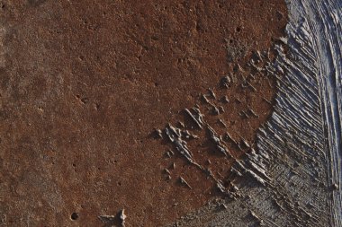 Sonbahar trendi yanmış odun. Yanmış ahşap rengi. Sonbahar tarzı. Beton doku. Duvar dokusu. Yanmış ahşap duvar dokusu