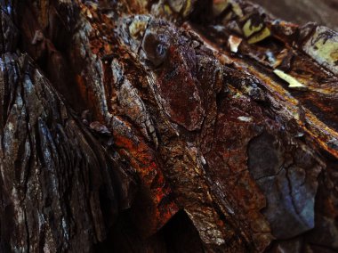 Sonbahar trendi yanmış odun. Yanmış ahşap rengi. Sonbahar tarzı. Kaya dokusu. Jeodezi ve jeoloji. Yanmış ahşap renkli mineraller.