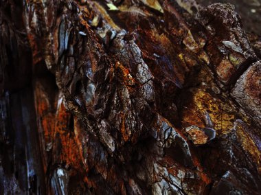 Sonbahar trendi yanmış odun. Yanmış ahşap rengi. Sonbahar tarzı. Kaya dokusu. Jeodezi ve jeoloji. Yanmış ahşap renkli mineraller.