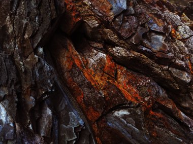 Sonbahar trendi yanmış odun. Yanmış ahşap rengi. Sonbahar tarzı. Kaya dokusu. Jeodezi ve jeoloji. Yanmış ahşap renkli mineraller.