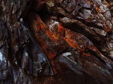 Sonbahar trendi yanmış odun. Yanmış ahşap rengi. Sonbahar tarzı. Kaya dokusu. Jeodezi ve jeoloji. Yanmış ahşap renkli mineraller.