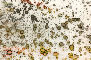 - Sanat. Sanat tasarımı. Sanat dokusu. Sanatsal arka plan. Soyutlama. Soyut arkaplan