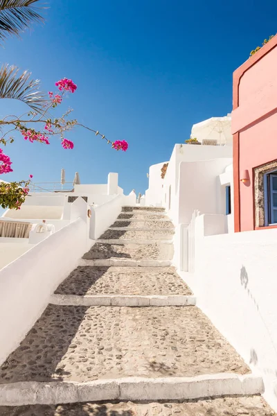 Típica Callecita Santorini Griego Cicladas — Foto de Stock