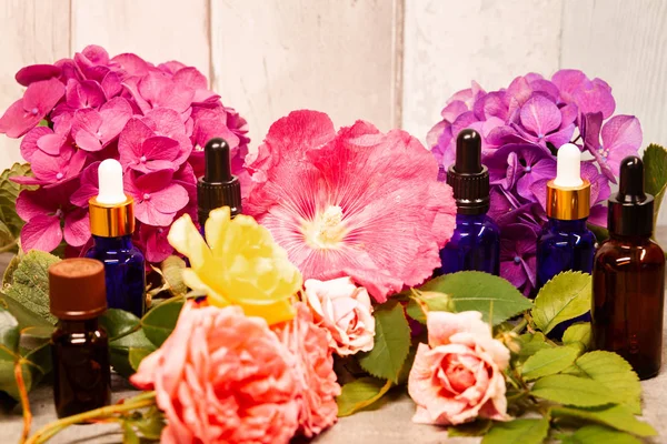 Различные Бутылки Эфирных Масел Ароматерапии Свежие Цветы Заднем Плане — стоковое фото