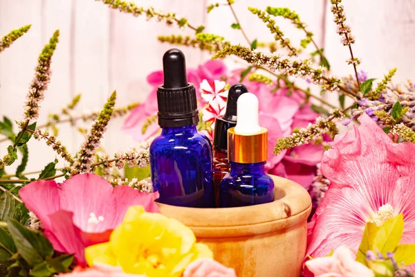 Spa composition with flowers and bottles of essential oils in wooden bowl