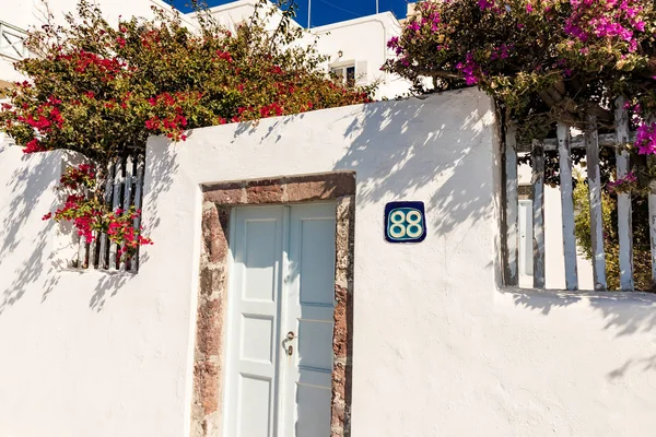 white building and bushes with pink flowers, Santorini, Greece