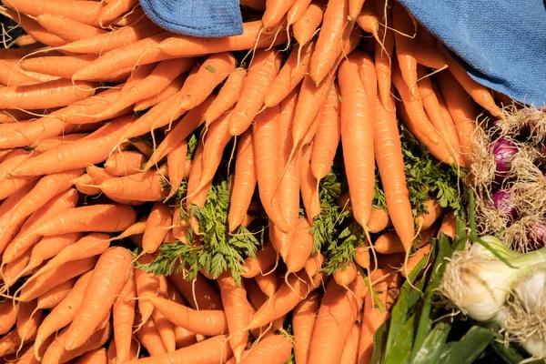 Racimos Zanahorias Frescas Puesto Mercado —  Fotos de Stock