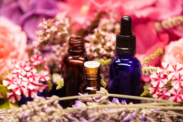 flowers and bottles of essential oils for aromatherapy