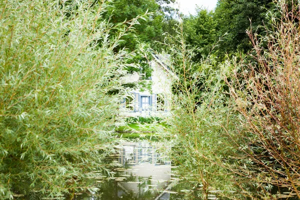 Maison Cachée Dans Végétation Des Arbres Des Fleurs Bord Canal — Photo
