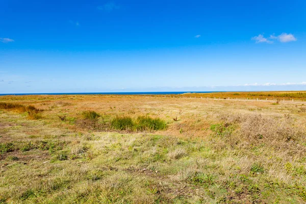 Láp Heath Wild Coast a szigeten Belle Ile en Mer a t — Stock Fotó